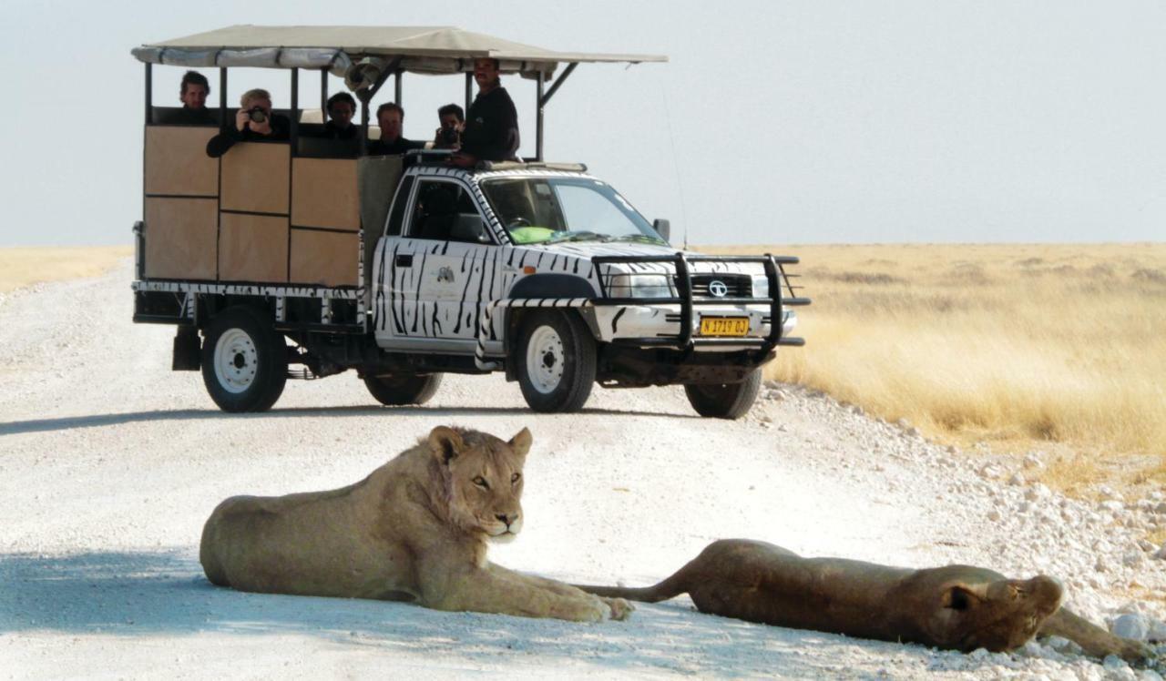 Gondwana Etosha Safari Lodge Okaukuejo Bagian luar foto